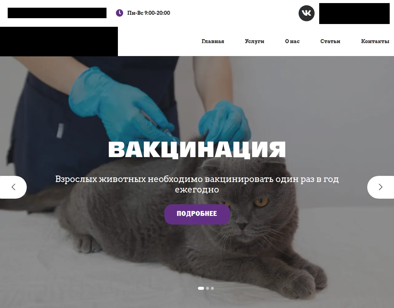 Исходный сайт ветклиники на компьютере, до переработки (названия и контакты скрыты)