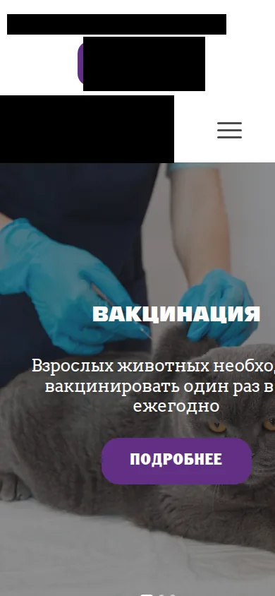 Исходный сайт ветклиники на телефоне, до переработки (названия и контакты скрыты)